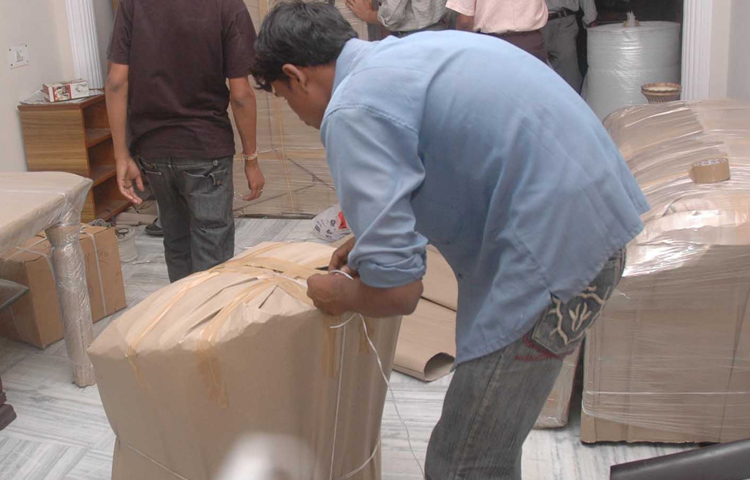 Leo Packers Cargo Movers